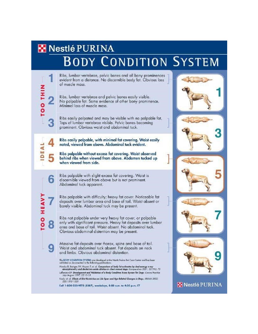 Purina Fecal Score Chart