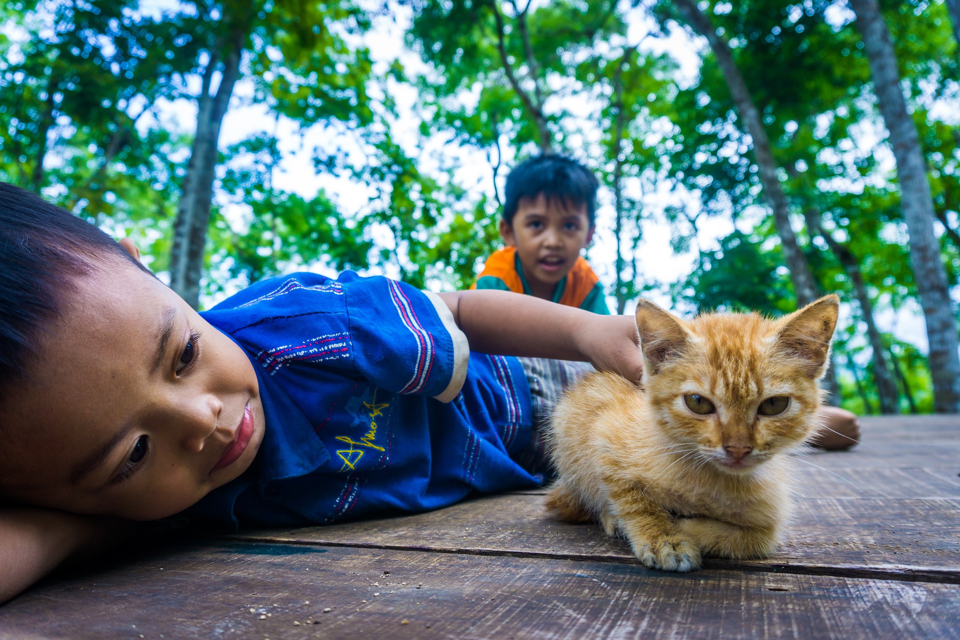 Kids And Cats: 10 Tips To Promote Bonding – A Collaboration With Great ...